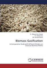 Biomass gasification comparati usato  Spedito ovunque in Italia 