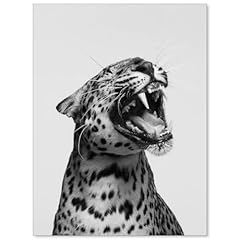 Omani wildlife cheetah for sale  Delivered anywhere in USA 