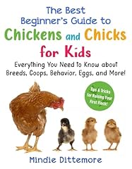 Best beginner guide for sale  Delivered anywhere in USA 