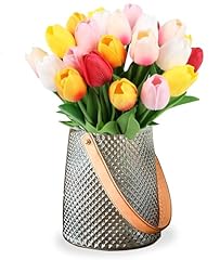 Danduolai multicolor tulips for sale  Delivered anywhere in UK