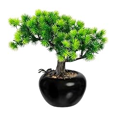 Set bonsai larice usato  Spedito ovunque in Italia 