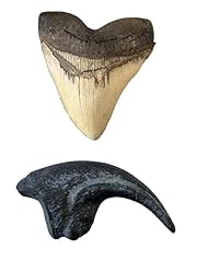 Prehistoric predators bundle for sale  Delivered anywhere in USA 