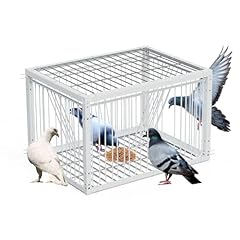 Mualrous 43cm pigeon for sale  Delivered anywhere in UK
