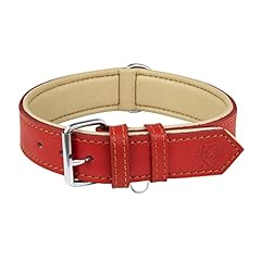 collier amstaff d'occasion  Livré partout en France