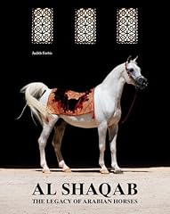 Shaqab legacy arabian for sale  Delivered anywhere in UK