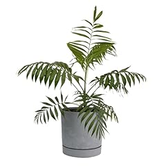 B2c plant pots for sale  Delivered anywhere in UK