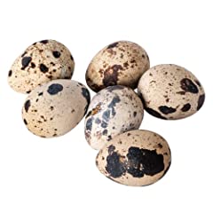 Fresh Quail Eggs 24 Pack for sale  Delivered anywhere in UK