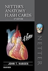 Netter anatomy flash for sale  Delivered anywhere in USA 