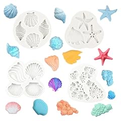 Pcs seashell conch for sale  Delivered anywhere in UK