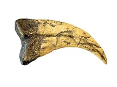 Utahraptor dinosaur life for sale  Delivered anywhere in UK