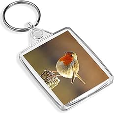 Cute red robin for sale  Delivered anywhere in UK