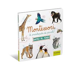 Animali tutto montessori. usato  Spedito ovunque in Italia 