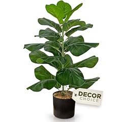 Ficus lyrata fake for sale  Delivered anywhere in USA 