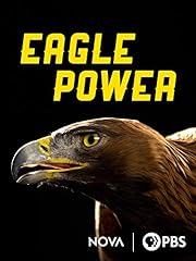Eagle power for sale  Delivered anywhere in USA 