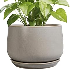 Epgardening ceramic planter for sale  Delivered anywhere in USA 
