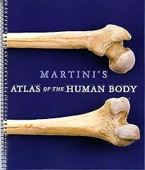 Martini atlas human for sale  Delivered anywhere in UK