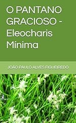 Pantano gracioso eleocharis d'occasion  Livré partout en France