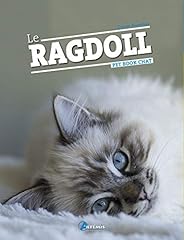 Ragdoll d'occasion  Livré partout en Belgiqu