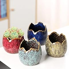 Simcat succulent pots for sale  Delivered anywhere in USA 