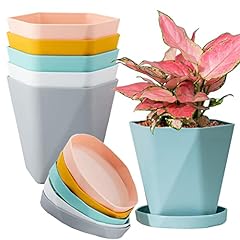 Bisenwin plant pots for sale  Delivered anywhere in USA 