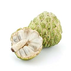 Sugar apple seeds for sale  Delivered anywhere in USA 