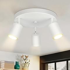 Zmh led deckenlampe gebraucht kaufen  Wird an jeden Ort in Deutschland