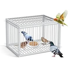 Pauqrwie pigeon bird for sale  Delivered anywhere in USA 
