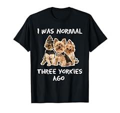 Normal three yorkies for sale  Delivered anywhere in USA 