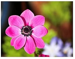 Oliwier bulbs 20x for sale  Delivered anywhere in UK