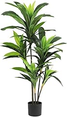 Viagdo dracaena silk for sale  Delivered anywhere in USA 