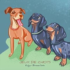 Jeux chiots rattrapant gebraucht kaufen  Wird an jeden Ort in Deutschland