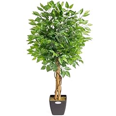 Christow artificial ficus for sale  Delivered anywhere in UK