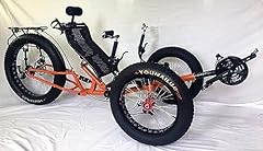 Fat tire triciclo usato  Spedito ovunque in Italia 