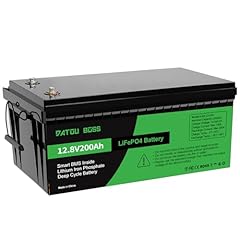 Datouboss lifepo4 batteria usato  Spedito ovunque in Italia 