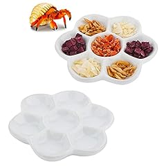 Pcs hermit crab for sale  Delivered anywhere in USA 