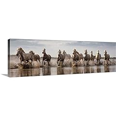 White horses camargue for sale  Delivered anywhere in USA 