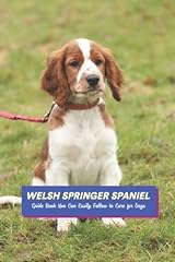 Welsh springer spaniel for sale  Delivered anywhere in UK