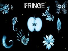 Fringe for sale  Delivered anywhere in UK