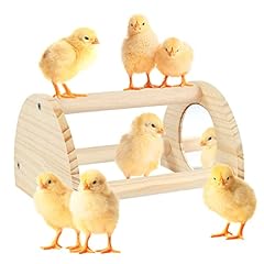 Cubolar pine chicken for sale  Delivered anywhere in USA 