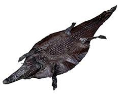 Dark brown alligator for sale  Delivered anywhere in USA 