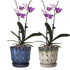 Grdthzey orchid pots for sale  Delivered anywhere in USA 