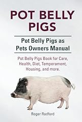 Pot belly pigs. for sale  Delivered anywhere in UK