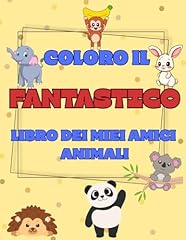 Coloro fantastico libro usato  Spedito ovunque in Italia 