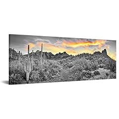 Iknow foto sonoran for sale  Delivered anywhere in USA 
