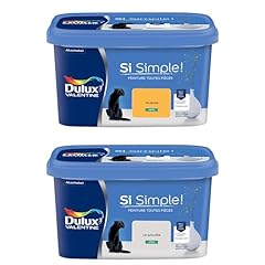 Dulux valentine peinture d'occasion  Livré partout en France