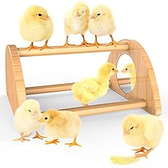 Ensayeer mini chick for sale  Delivered anywhere in USA 