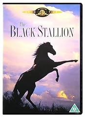 Black stallion dvd for sale  Delivered anywhere in UK