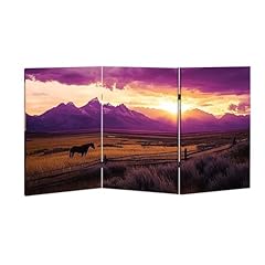 Room divider screen for sale  Delivered anywhere in USA 