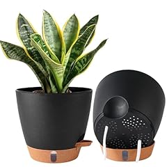 Pack inch pots for sale  Delivered anywhere in USA 