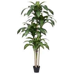 Verinatural artificial dracaen for sale  Delivered anywhere in USA 